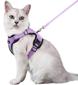 rabbitgoo Cat Harness and Leash for Walking