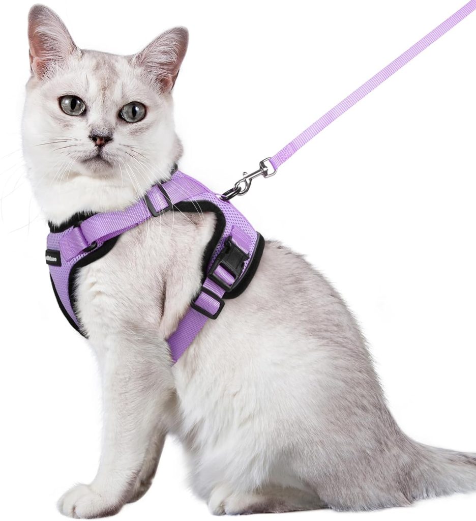 RabbitGoo Cat Harness and Leash for Walking