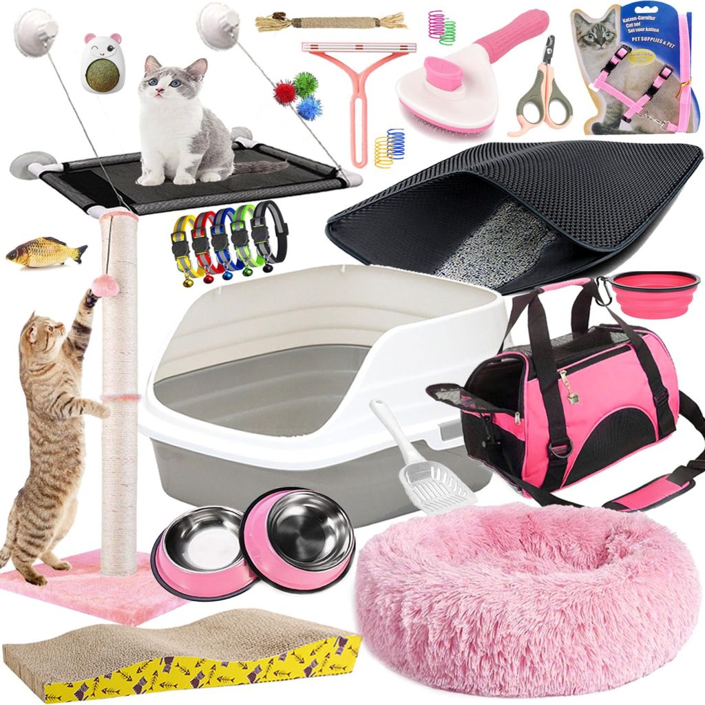 Lobeve Kitten Supplies Starter Kit
