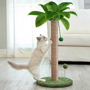 Dohump Cat Scratching Post