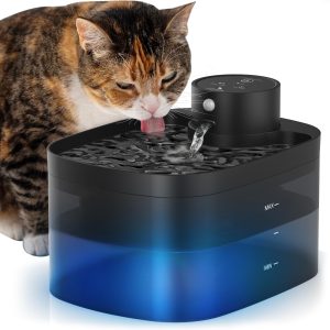 Cat Water Fountain